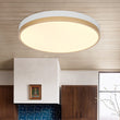 Load image into Gallery viewer, 5CCT Modern Dimmable LED Round Flush Mount Ceiling Light