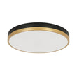 Load image into Gallery viewer, Farmhouze Light - 5CCT Modern Dimmable LED Round Flush Mount Ceiling Light - Ceiling Light - Black -