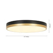 Load image into Gallery viewer, Farmhouze Light - 5CCT Modern Dimmable LED Round Flush Mount Ceiling Light - Ceiling Light - Black -