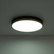 Load image into Gallery viewer, Farmhouze Light - 5CCT Modern Dimmable LED Round Flush Mount Ceiling Light - Ceiling Light - Black -