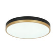 Load image into Gallery viewer, Farmhouze Light - 5CCT Modern Dimmable LED Round Flush Mount Ceiling Light - Ceiling Light - Black -