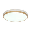 Load image into Gallery viewer, Farmhouze Light - 5CCT Modern Dimmable LED Round Flush Mount Ceiling Light - Ceiling Light - White -