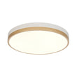 Load image into Gallery viewer, Farmhouze Light - 5CCT Modern Dimmable LED Round Flush Mount Ceiling Light - Ceiling Light - White -