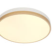 Load image into Gallery viewer, Farmhouze Light - 5CCT Modern Dimmable LED Round Flush Mount Ceiling Light - Ceiling Light - White -