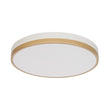 Load image into Gallery viewer, Farmhouze Light - 5CCT Modern Dimmable LED Round Flush Mount Ceiling Light - Ceiling Light - White -