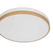 Load image into Gallery viewer, Farmhouze Light - 5CCT Modern Dimmable LED Round Flush Mount Ceiling Light - Ceiling Light - White -