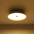 Load image into Gallery viewer, Farmhouze Light - Dimmable LED Rustic Wood Grain Round Ceiling Light - Ceiling Light - Oak -