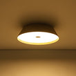 Load image into Gallery viewer, Farmhouze Light - Dimmable LED Rustic Wood Grain Round Ceiling Light - Ceiling Light - Oak -