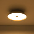 Load image into Gallery viewer, Farmhouze Light - Dimmable LED Rustic Wood Grain Round Ceiling Light - Ceiling Light - Walnut -