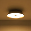 Load image into Gallery viewer, Farmhouze Light - Dimmable LED Rustic Wood Grain Round Ceiling Light - Ceiling Light - Walnut -