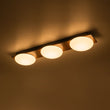 Load image into Gallery viewer, Farmhouze Light - Farmhouse Dimmable LED Linear Flush Mount Ceiling Light - Chandelier - 3 - Light -