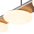 Load image into Gallery viewer, Farmhouze Light - Farmhouse Dimmable LED Wood Island Pendant Chandelier - Chandelier - 4 - Light -