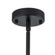 Load image into Gallery viewer, Farmhouze Light - Modern Round Water Glass Ceiling Pendant Light - Pendant - Black - 2 Packs -