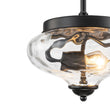 Load image into Gallery viewer, Farmhouze Light - Modern Round Water Glass Ceiling Pendant Light - Pendant - Black - 2 Packs -
