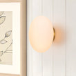 Load image into Gallery viewer, Farmhouze Light-1-Light Aged Brass Simple Oval Globe Wall Light-Wall Sconce-Aged Brass-