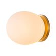 Load image into Gallery viewer, Farmhouze Light-1-Light Aged Brass Simple Oval Globe Wall Light-Wall Sconce-Aged Brass-