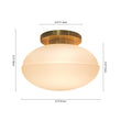 Load image into Gallery viewer, Farmhouze Light-1-Light Aged Brass Simple Oval Globe Wall Light-Wall Sconce-Aged Brass-