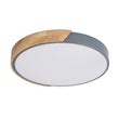 Load image into Gallery viewer, Farmhouze Light-Minimalist Dimmable Round Ceiling Light-Ceiling Light-15 in.-White