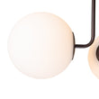Load image into Gallery viewer, Farmhouze Light-Modern 3-Light Glass Globe Semi Flush Ceiling Light-Ceiling Light-Black Brass + Clear Glass-
