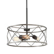 Load image into Gallery viewer, Farmhouze Lighting-Rustic Cage Frame Drum Pendant Light-Pendant-Default Title-