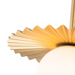 Load image into Gallery viewer, Brass Radiant Frosted Glass Globe Single Pendant Light
