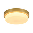 Load image into Gallery viewer, Dimmable LED Round Gold Milky White Glass Flush Mount Light
