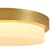 Load image into Gallery viewer, Dimmable LED Round Gold Milky White Glass Flush Mount Light

