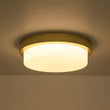 Load image into Gallery viewer, Dimmable LED Round Gold Milky White Glass Flush Mount Light
