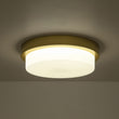 Load image into Gallery viewer, Dimmable LED Round Gold Milky White Glass Flush Mount Light
