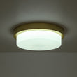 Load image into Gallery viewer, Dimmable LED Round Gold Milky White Glass Flush Mount Light
