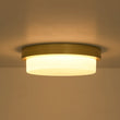 Load image into Gallery viewer, Dimmable LED Round Gold Milky White Glass Flush Mount Light
