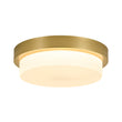 Load image into Gallery viewer, Dimmable LED Round Gold Milky White Glass Flush Mount Light
