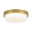 Load image into Gallery viewer, Dimmable LED Round Gold Milky White Glass Flush Mount Light
