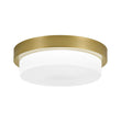 Load image into Gallery viewer, Dimmable LED Round Gold Milky White Glass Flush Mount Light
