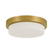Load image into Gallery viewer, Dimmable LED Round Gold Milky White Glass Flush Mount Light
