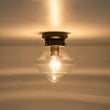 Load image into Gallery viewer, Farmhouse 1-Light Black Layered Clear Glass Semi Flush Mount
