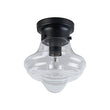 Load image into Gallery viewer, Farmhouse 1-Light Black Layered Clear Glass Semi Flush Mount
