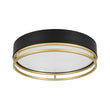 Load image into Gallery viewer, Gold Ring Accent Black Round Dimmable LED Ceiling Light
