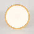 Load image into Gallery viewer, Minimalist Dimmable LED Round Flush Mount Ceiling Light
