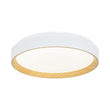 Load image into Gallery viewer, Minimalist Dimmable LED Round Flush Mount Ceiling Light
