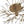 Load image into Gallery viewer, Farmhouze Light - 10 - Light Brass Crystal Sputnik Semi Flush Mount Ceiling Light - Ceiling Light - Brass - 
