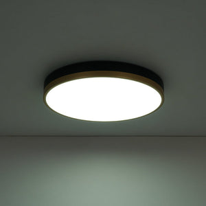 Farmhouze Light - 5CCT Modern Dimmable LED Round Flush Mount Ceiling Light - Ceiling Light - Black - 