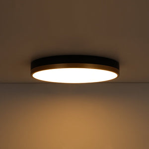 Farmhouze Light - 5CCT Modern Dimmable LED Round Flush Mount Ceiling Light - Ceiling Light - White - 