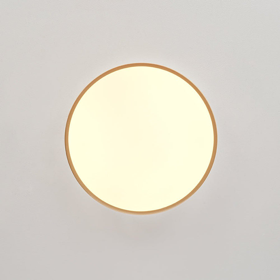 Farmhouze Light - 5CCT Modern Dimmable LED Round Flush Mount Ceiling Light - Ceiling Light - White - 