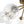 Load image into Gallery viewer, Farmhouze Light - Brass 8 - Light Bubble Round Sputnik Semi Flush Mount Light - Ceiling Light - Ribbed - 
