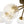 Load image into Gallery viewer, Farmhouze Light - Brass 8 - Light Bubble Round Sputnik Semi Flush Mount Light - Ceiling Light - Ribbed - 
