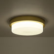 Load image into Gallery viewer, Farmhouze Light-Dimmable LED Round Gold Milky White Glass Flush Mount Light-Ceiling Light-Brass-
