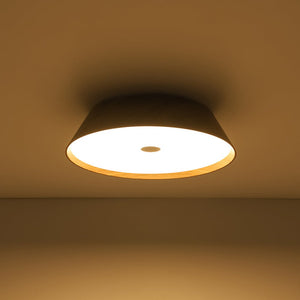 Farmhouze Light - Dimmable LED Rustic Wood Grain Round Ceiling Light - Ceiling Light - Walnut - 