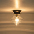 Load image into Gallery viewer, Farmhouze Light-Farmhouse 1-Light Black Layered Clear Glass Semi Flush Mount-Ceiling Light-Brass-
