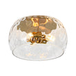 Load image into Gallery viewer, Farmhouze Light-Farmhouse Round Wide Clear Water Glass Ceiling Light-Ceiling Light-Brass-
